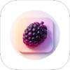 Mulberry（正能量） 图标